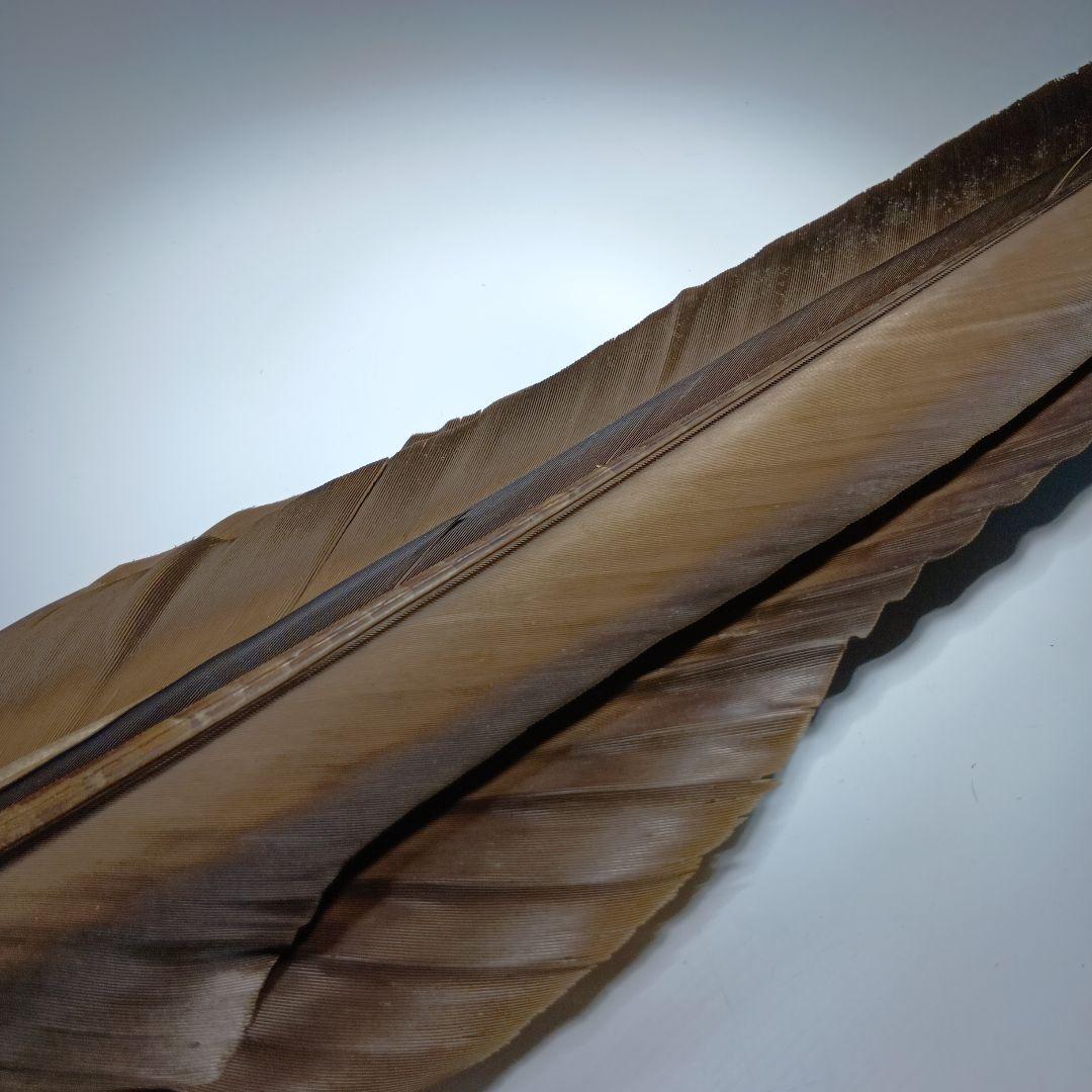 値下げ茶道具　羽箒　全長65センチ