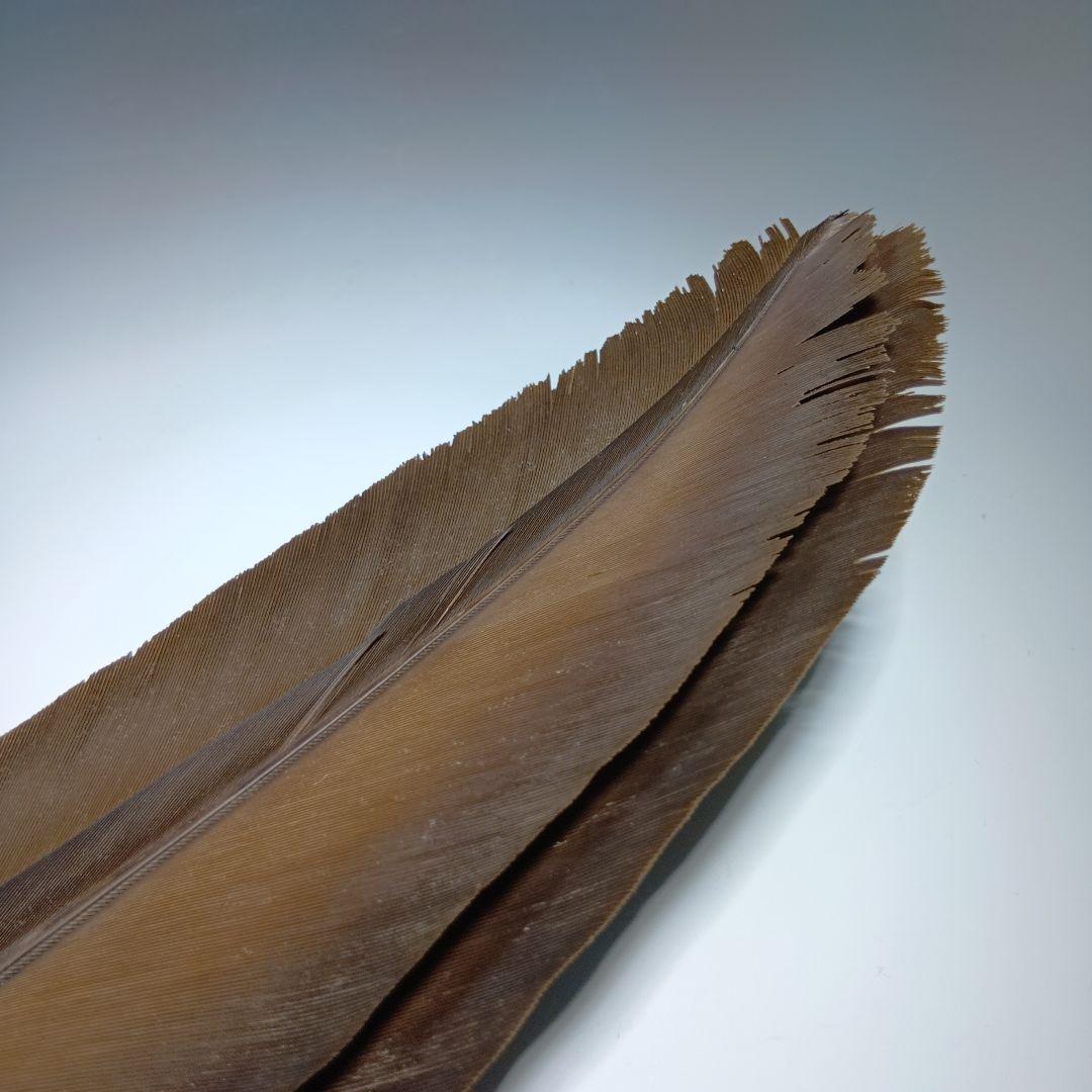 値下げ茶道具　羽箒　全長65センチ