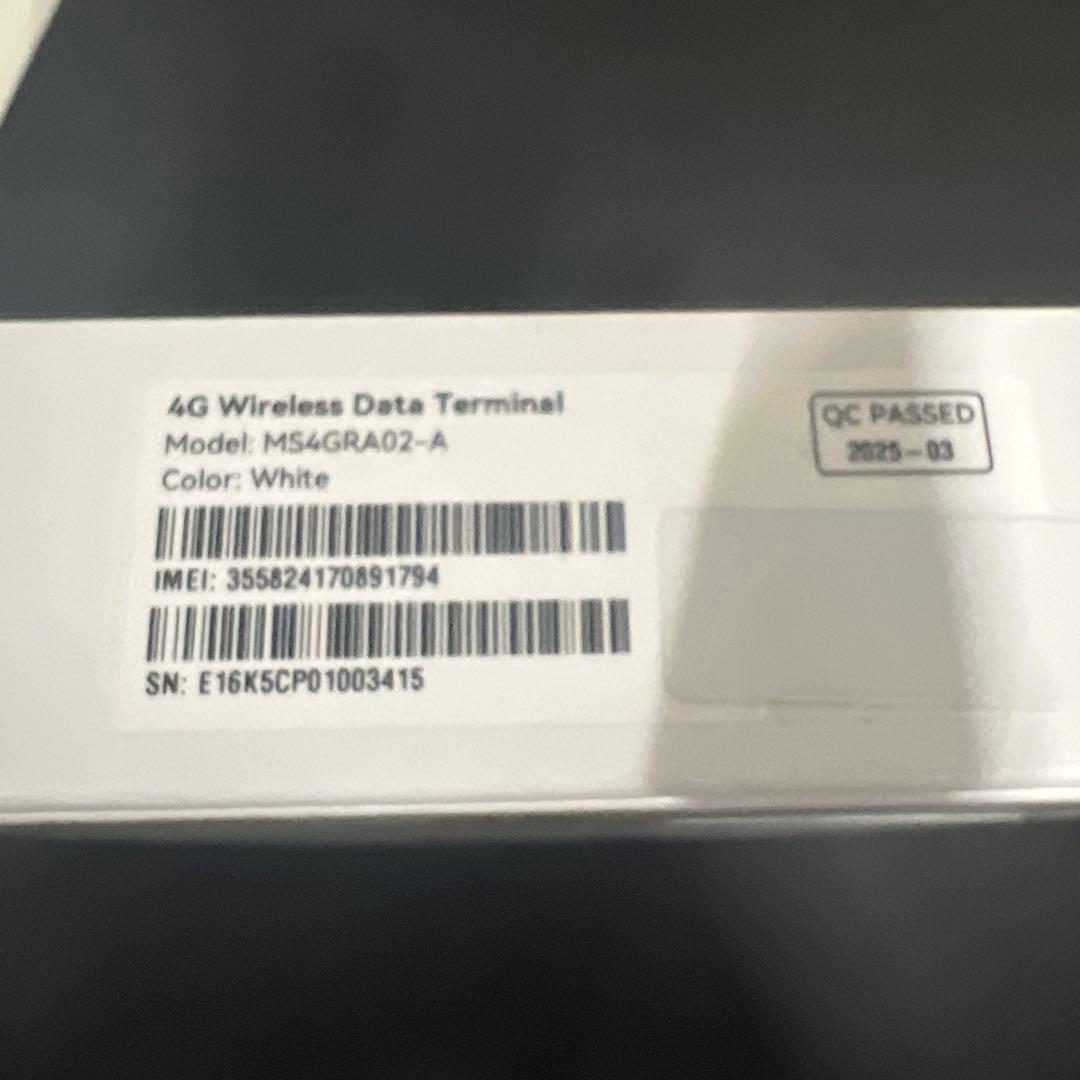 ポケット チャージWiFi U20P (日本国内50GB/30日ギガ付)