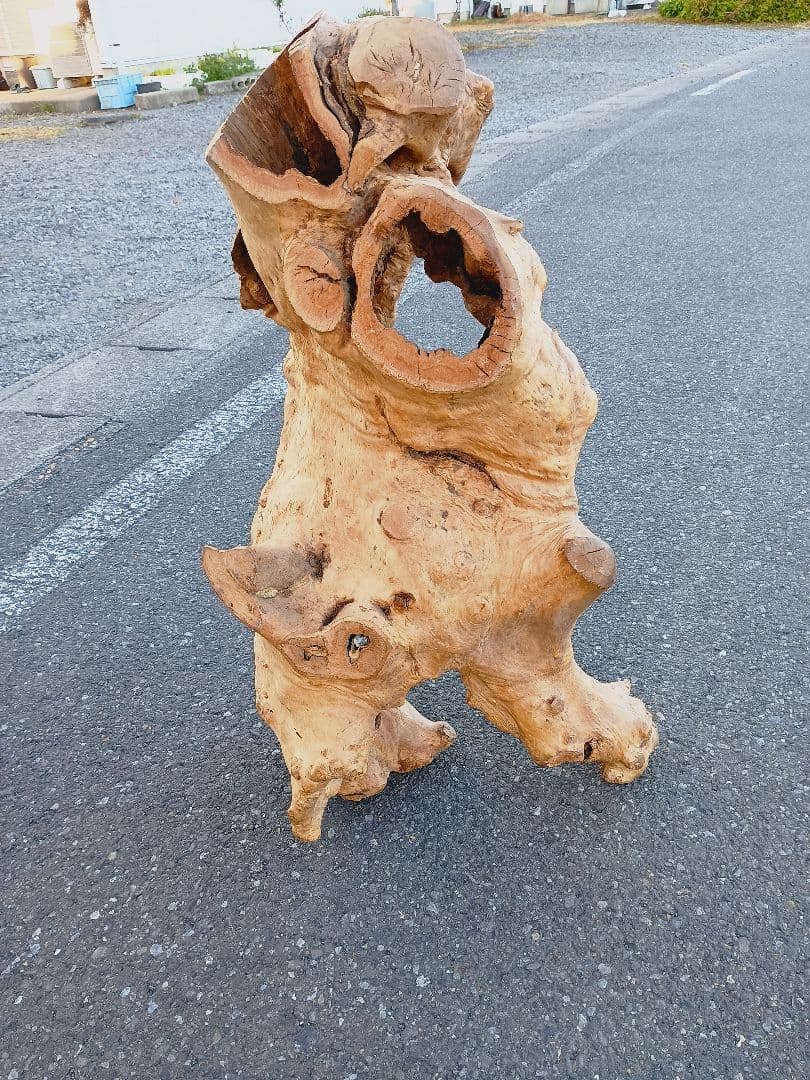 自然天然木(根)とても珍人間の歩姿です自然の感動てきア−ト作品です一品です