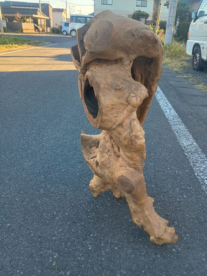 自然天然木(根)とても珍人間の歩姿です自然の感動てきア−ト作品です一品です