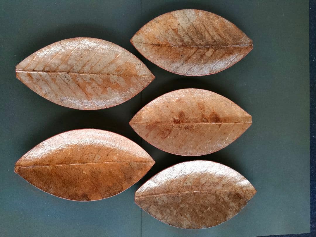 ●天然葉 プレスプレート 葉皿 5枚組アートオブジェ民藝ハンドメイドインテリア
