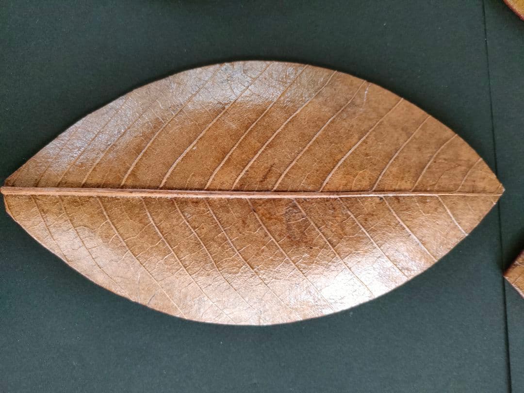 ●天然葉 プレスプレート 葉皿 5枚組アートオブジェ民藝ハンドメイドインテリア