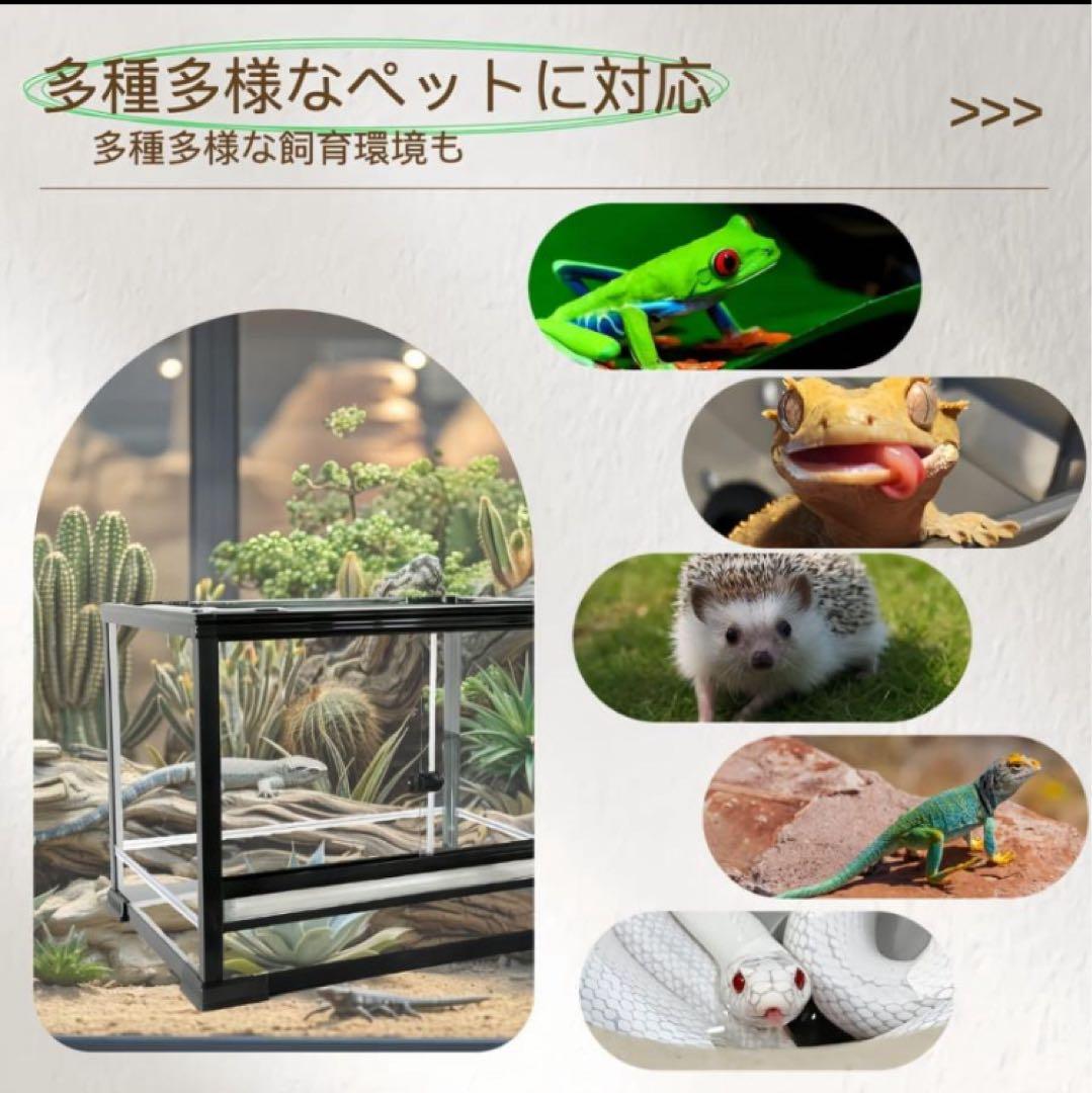 オリジナル組み立て式爬虫類両生類飼育ケージガラス飼育ケージ60x30x30cm