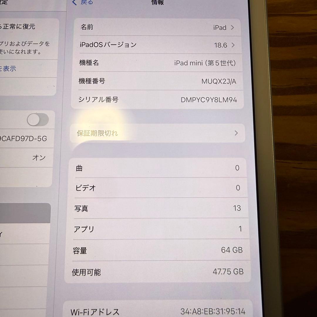る*ん様 外観美品 iPad mini 第5世代 64GB 訳あり品