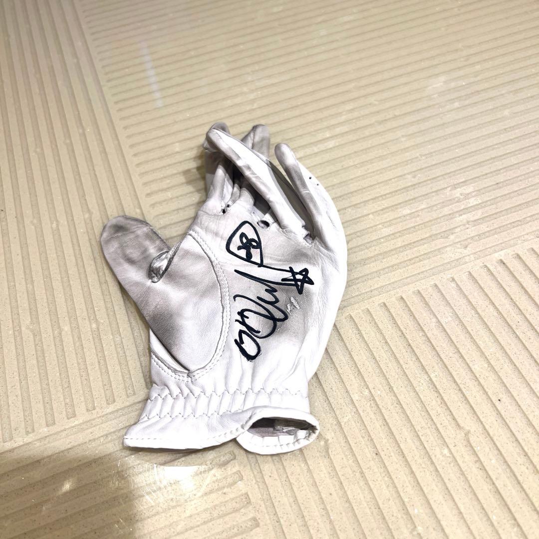 【レア】イボミ 直筆サイン 実使用 グローブ
