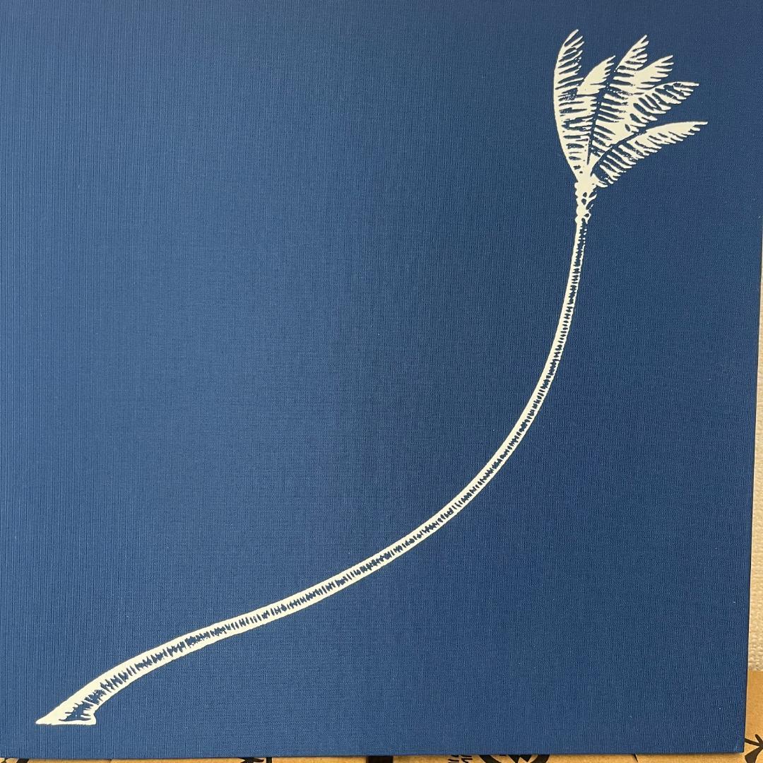 Hiroshi Nagai Contrast 永井博