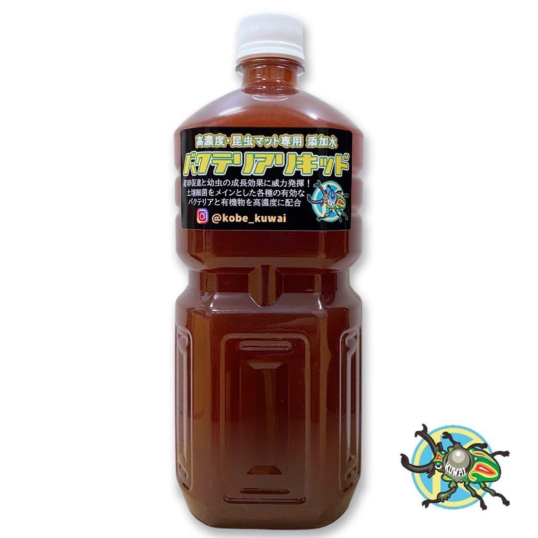 ［シナノの森様限定商品］