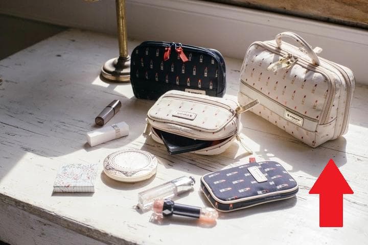 【極美品】アルティザン・アンド・アーティスト　ポーチ　大　リップ柄