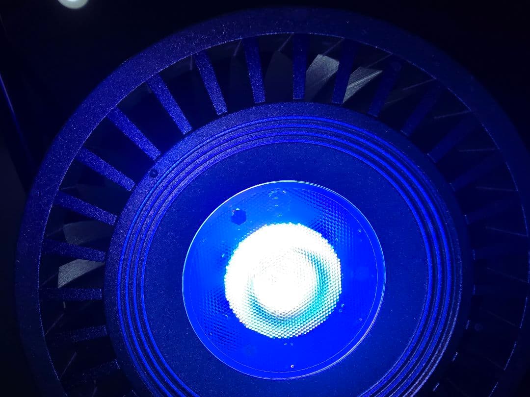 GrassyLeDio RX201 Marine用 LEDライト