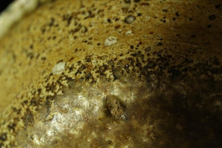 茶道具 古信楽 茶碗 在印 時代箱 骨董(K-YC524)