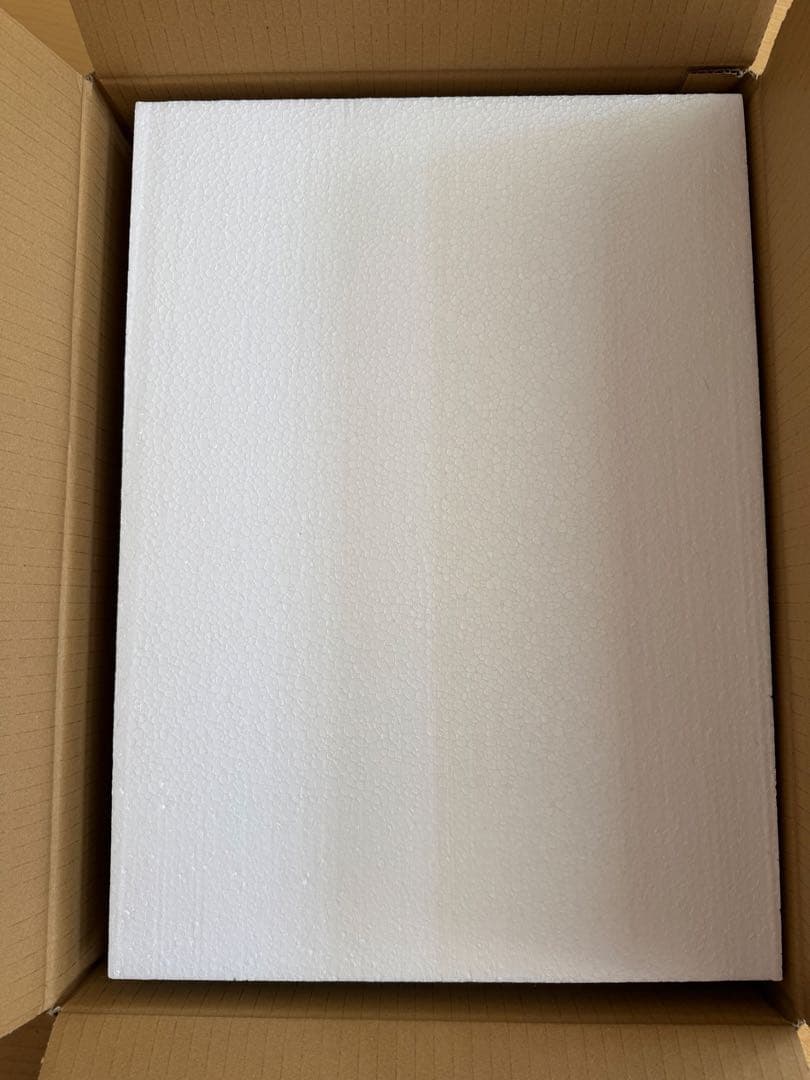 新谷姫加　直筆サイン入り写真パネル (A3サイズ) 限定品