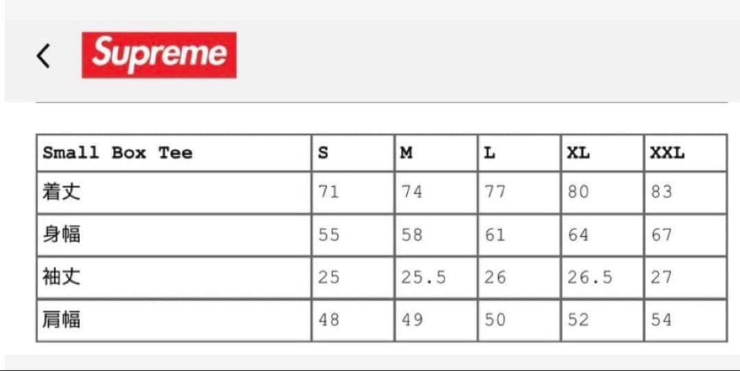 トップス Supreme Small box logo tee sizeS