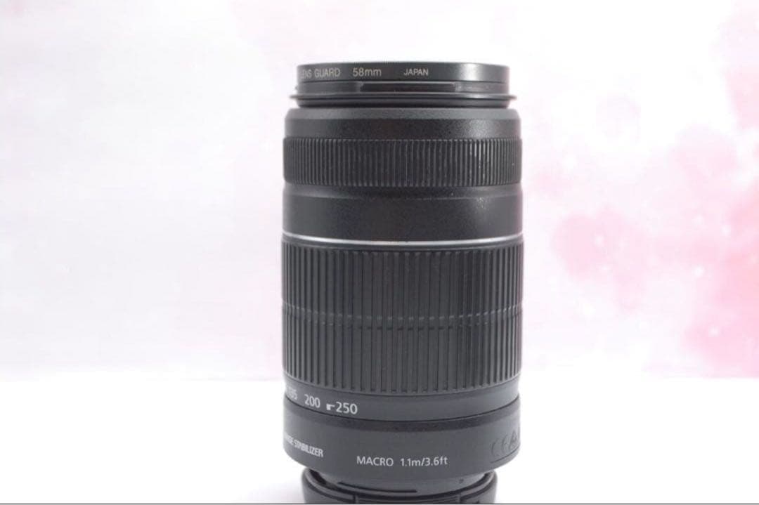 Canon EOS 55-250mm IS Ⅱ⭐手振れ補正⭐望遠レンズ⭐一眼レフ