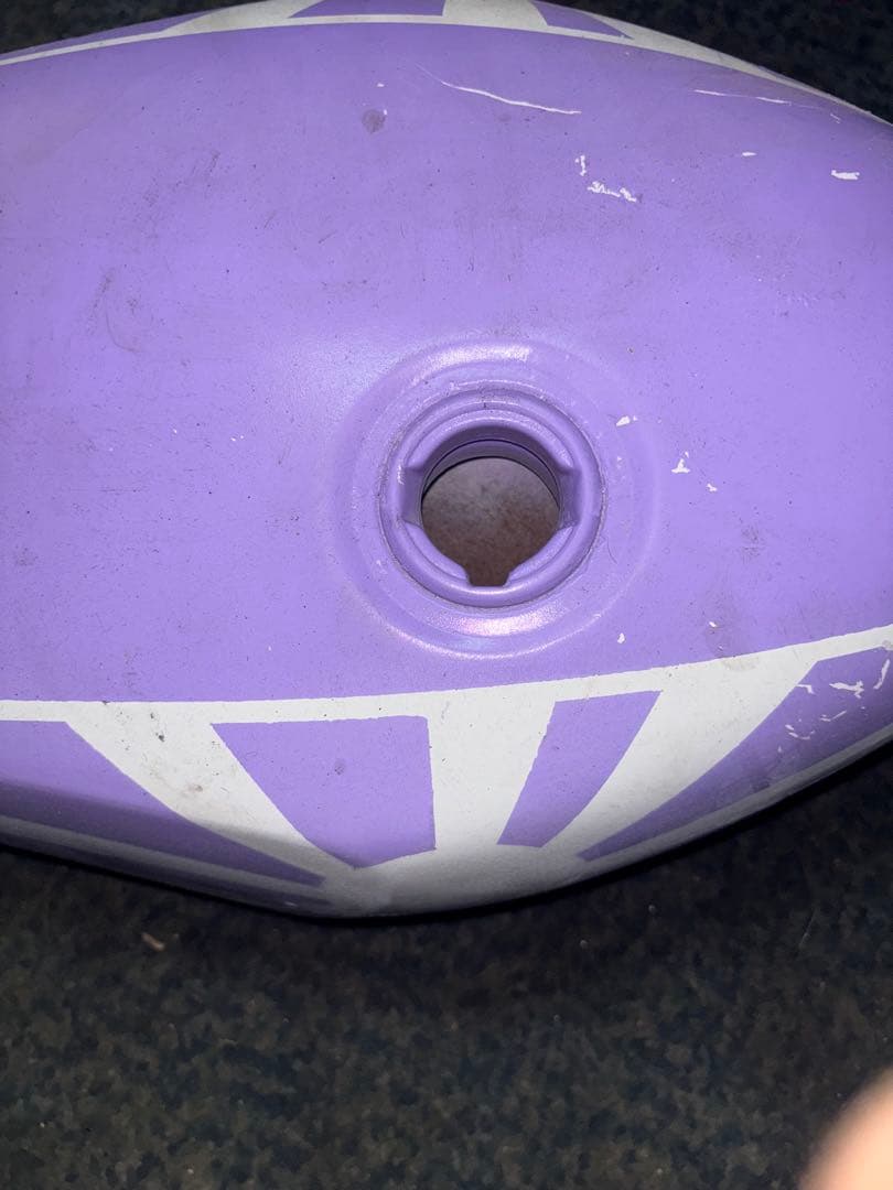 go Kawasaki Z250FT 希少、当時物　外装