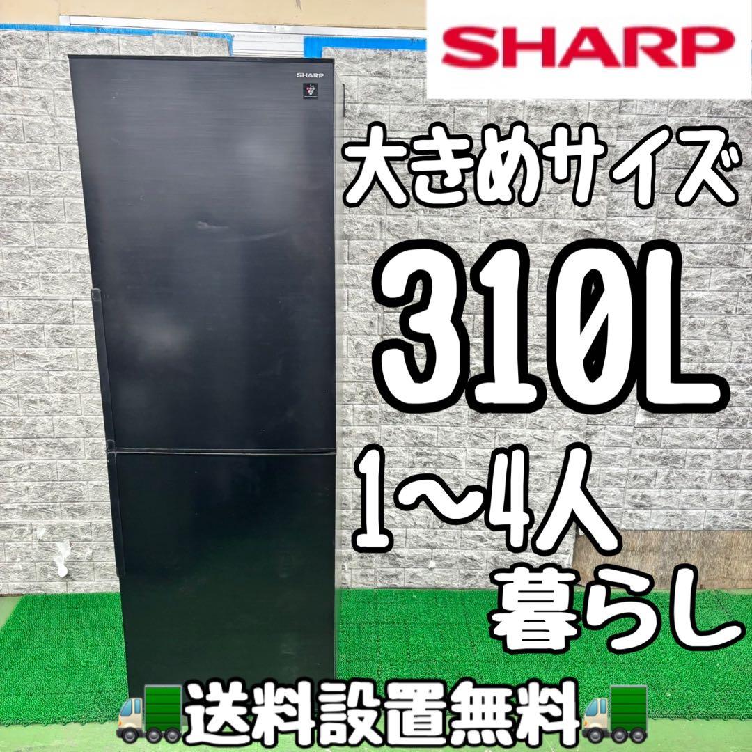 555 SHARP 大きめサイズ　冷蔵庫　310L 300L強　一人暮らし　小型