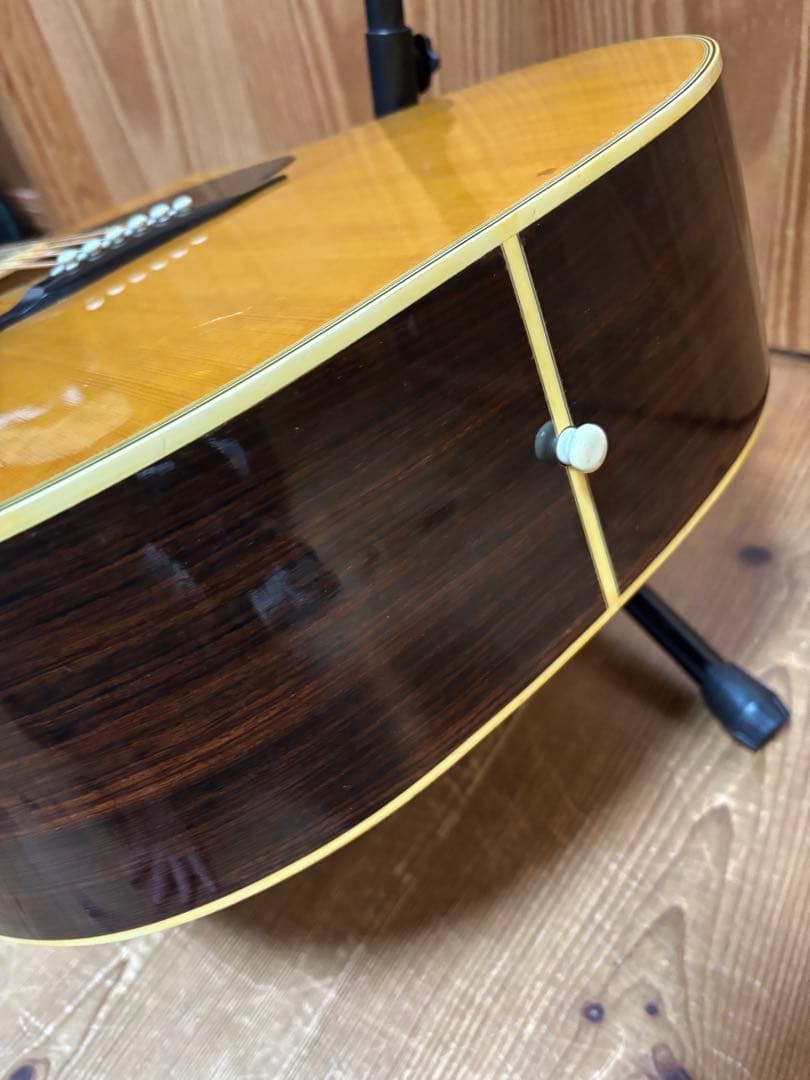 年末特価【大文字ロゴ】　Cat's Eyes CE-250 JV ハードケース