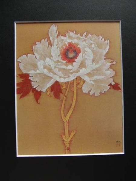 大野　俶嵩、白牡丹、希少な画集より、新品高級額装付、版上サイン入り