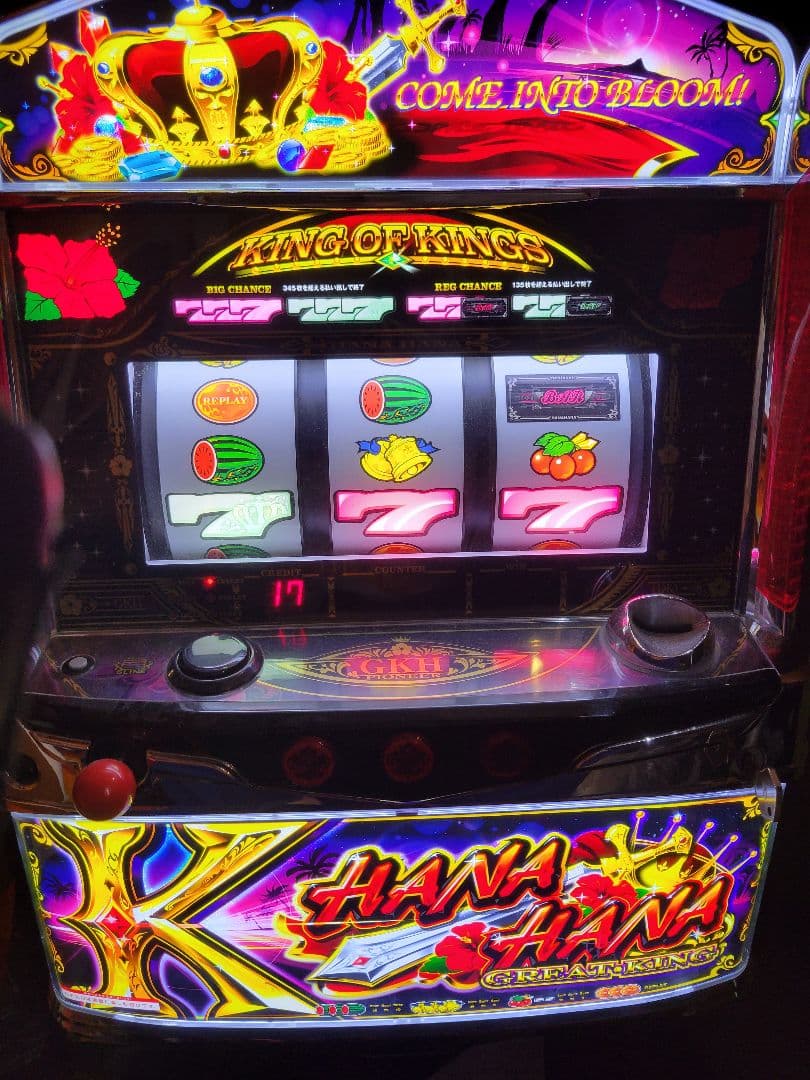 5号機 グレートキングハナハナ ミッドナイトパネル 実機 不要機