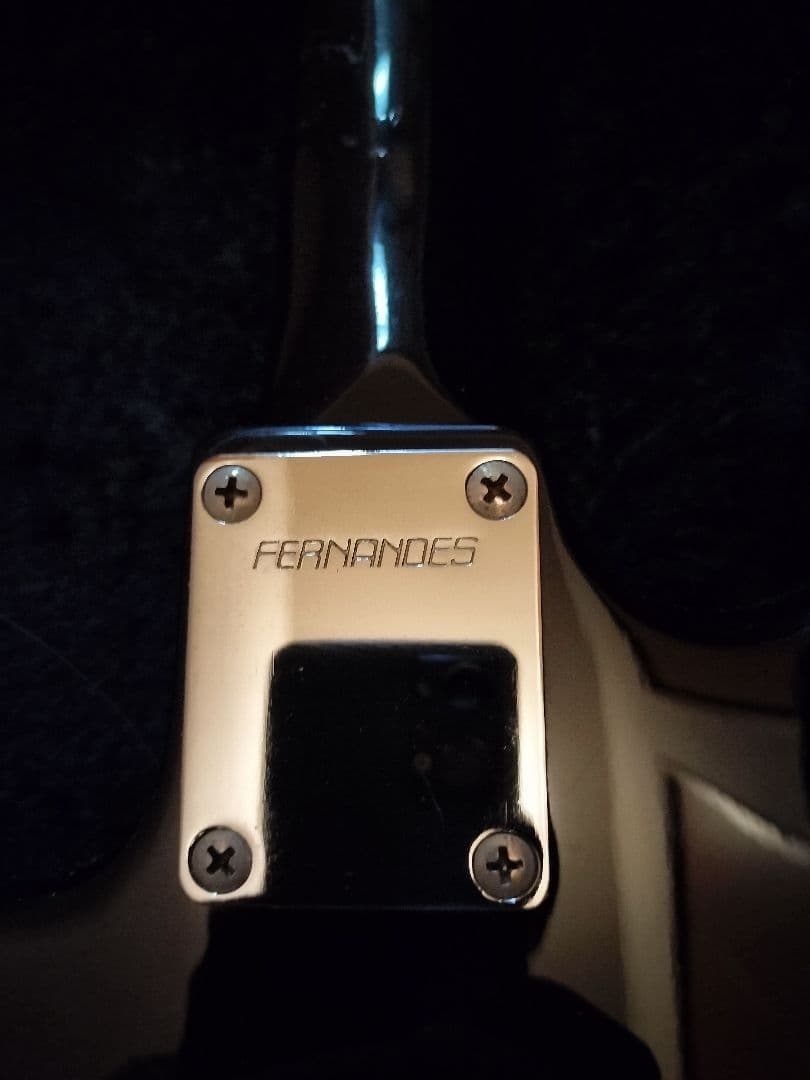 FERNANDES LIMITED EDITION エレキギター ブラック