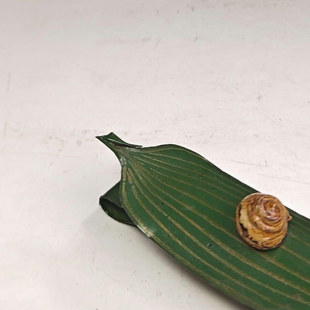 イ998 香合『中川正斉』『乾漆　竹笹かたつむり　香合　共箱』漆塗　茶道具