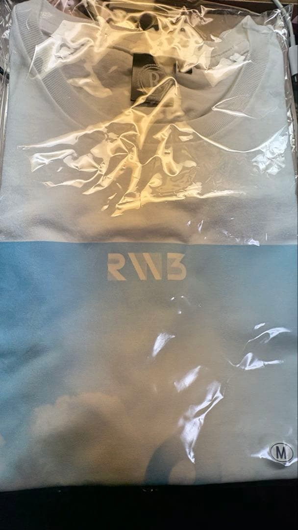 RADWIMPS 無人島に持って行きたい一枚　Tシャツ　Mサイズ