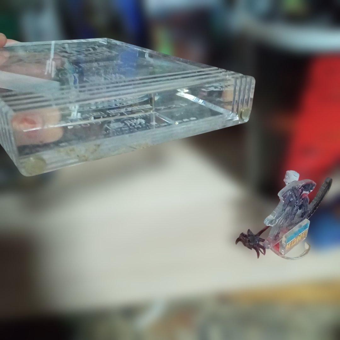 トウレプ 優勝トロフィー 2017