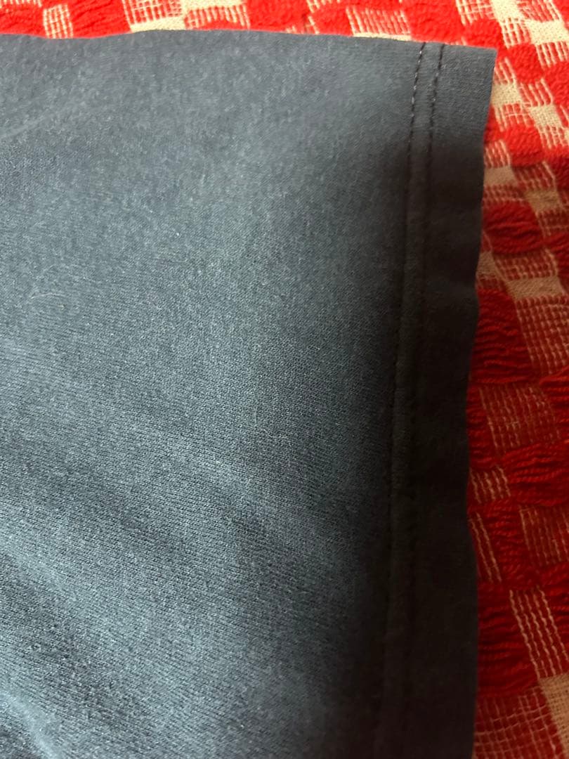 初期 テンダーロイン tシャツ 希少