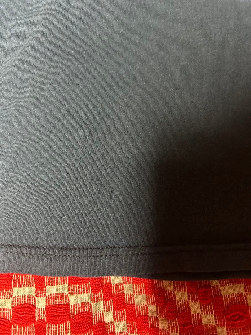 初期 テンダーロイン tシャツ 希少