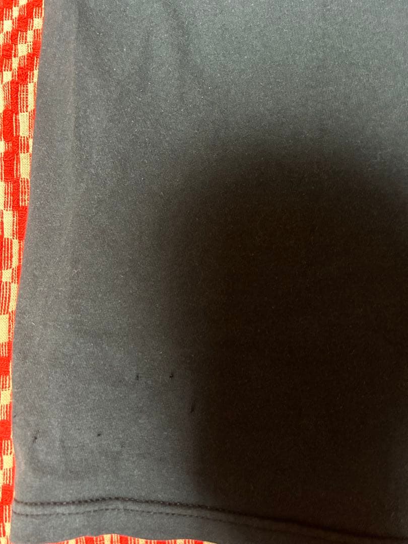 初期 テンダーロイン tシャツ 希少