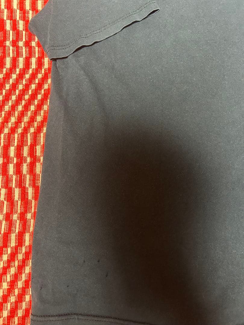 初期 テンダーロイン tシャツ 希少