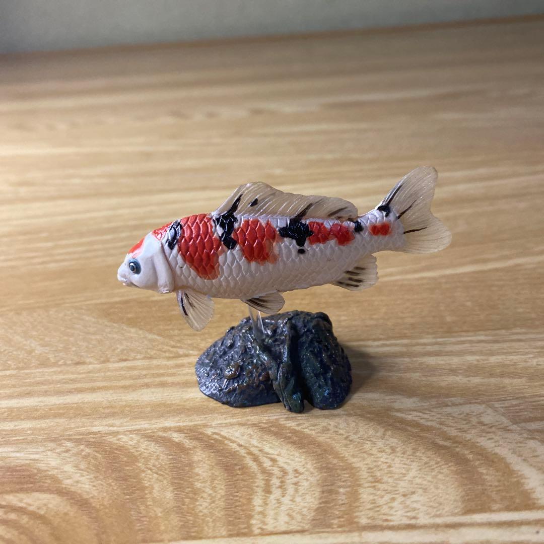 【中古】YUJIN 原色淡水魚図鑑　イワナ ウナギ　大正三色