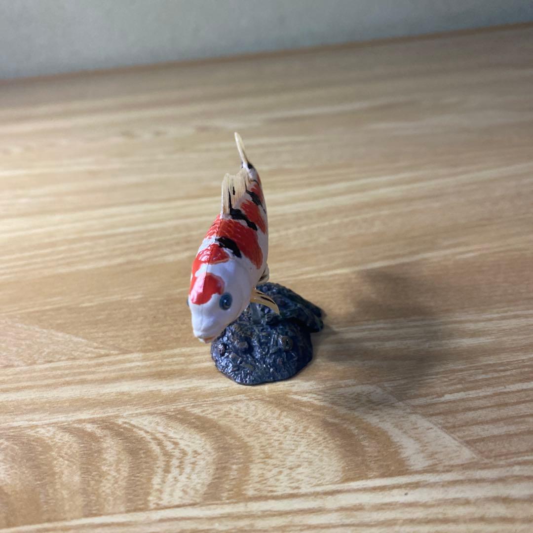 【中古】YUJIN 原色淡水魚図鑑　イワナ ウナギ　大正三色