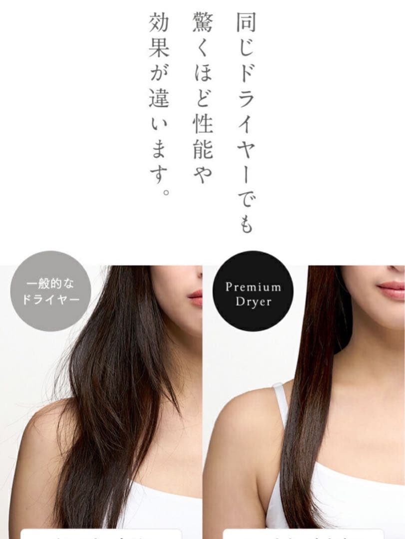 Lupilina ルピリーナ 折りたたみ式 マイナスイオン ドライヤー ブラック