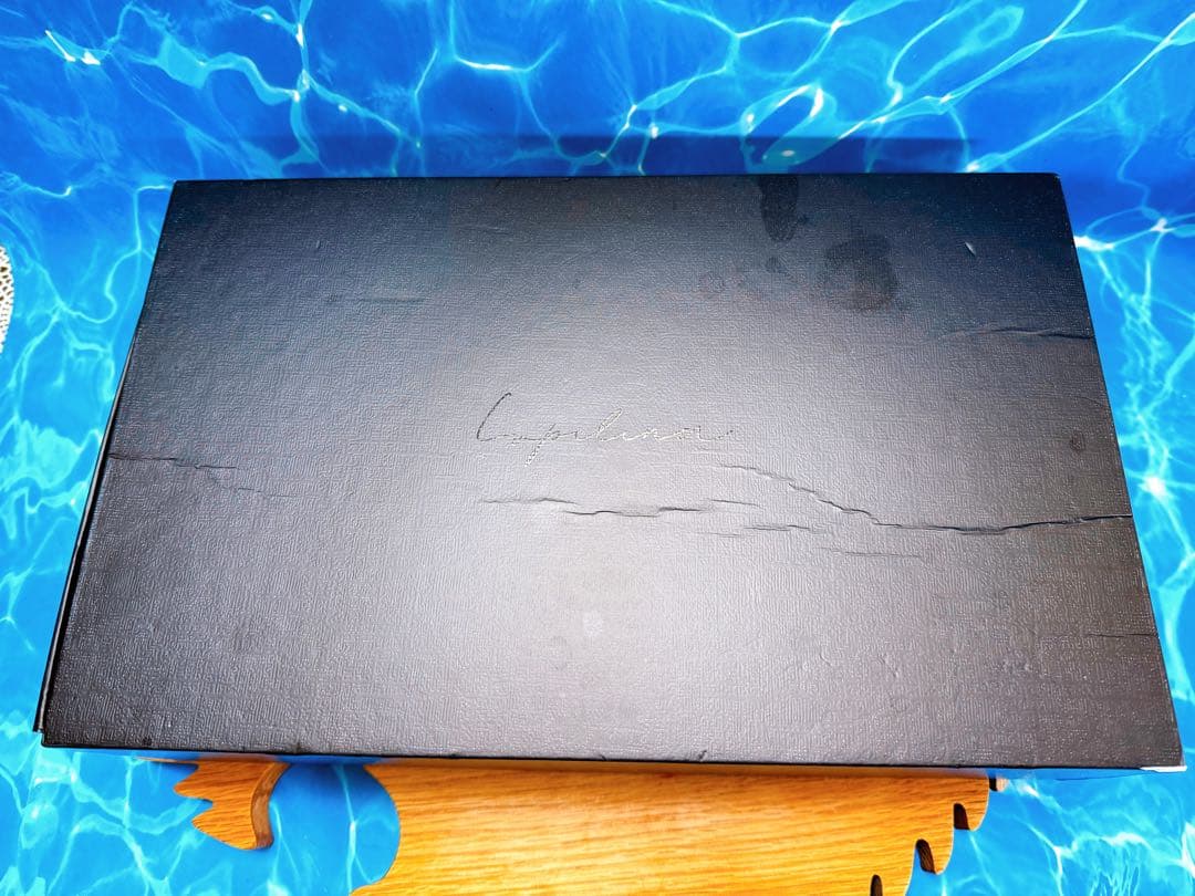 Lupilina ルピリーナ 折りたたみ式 マイナスイオン ドライヤー ブラック