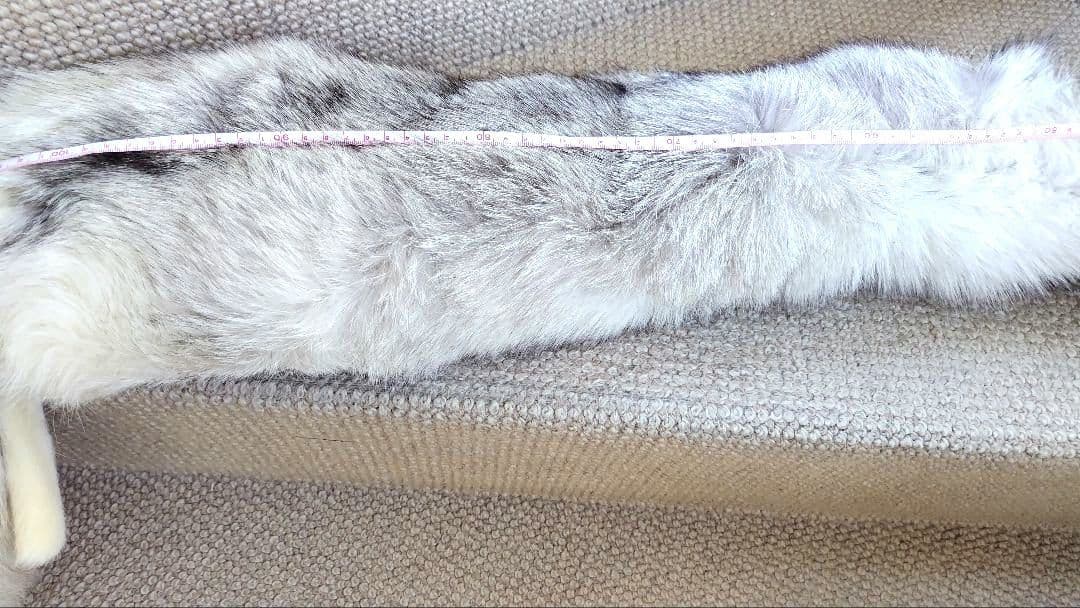 ブルーフォックス 襟巻き