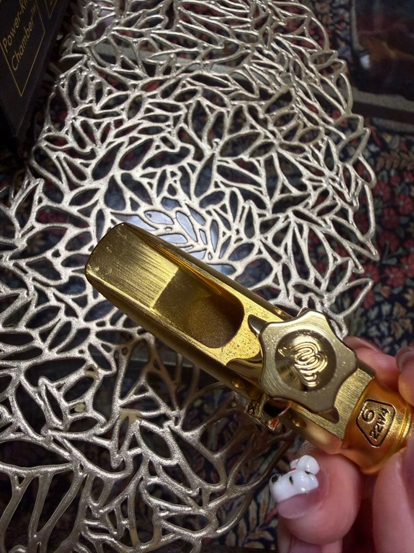 Theo Wanne Durga Alto Gold マウスピース