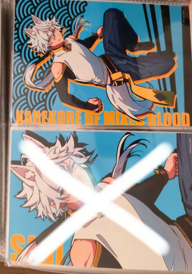 混血のカレコレ　ブロマイドまとめ売り