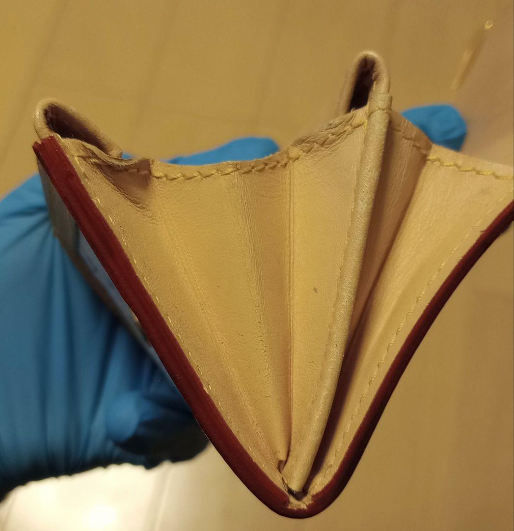 Louis Vuitton マルチカラー ケース