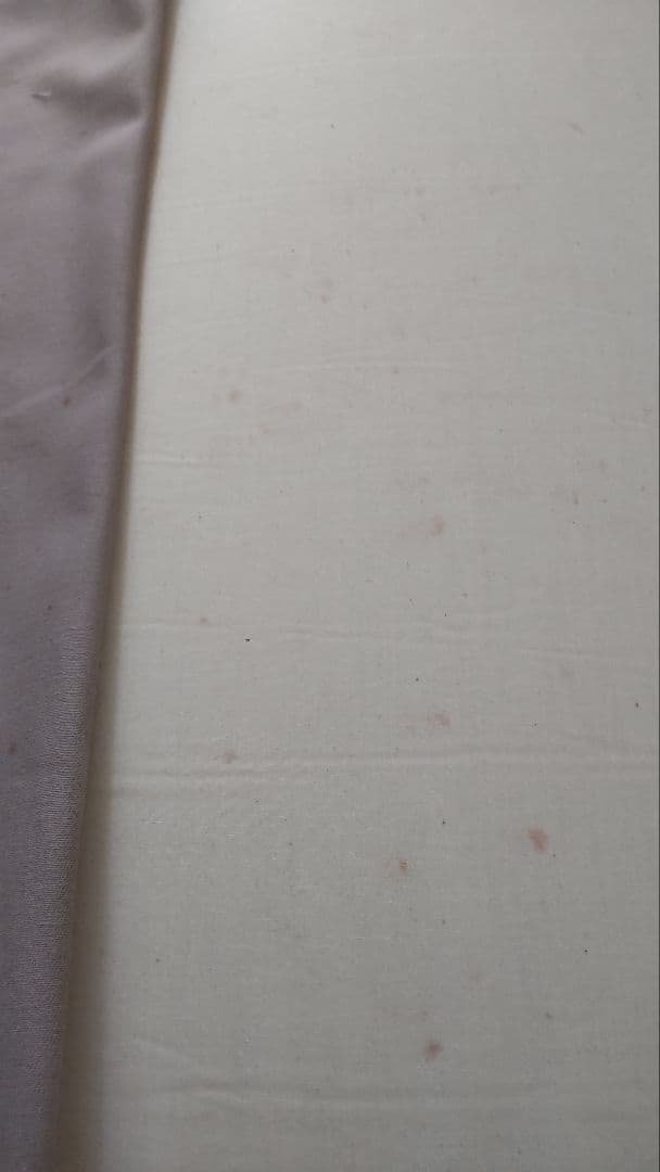 ACTUS アイラーセン フットスツール オットマン