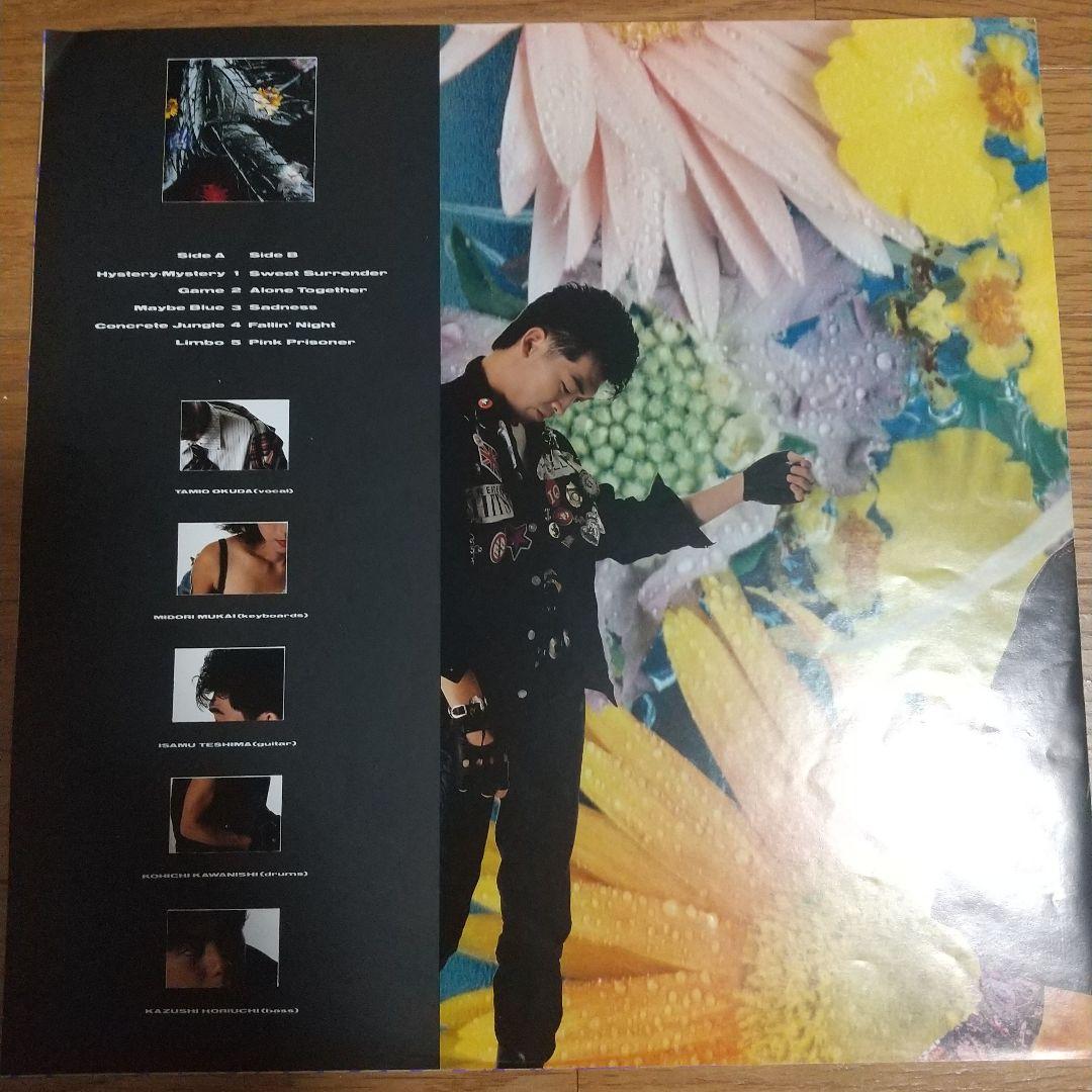 unicorn boom LP 奥田民生 ユニコーン ブーム レコード