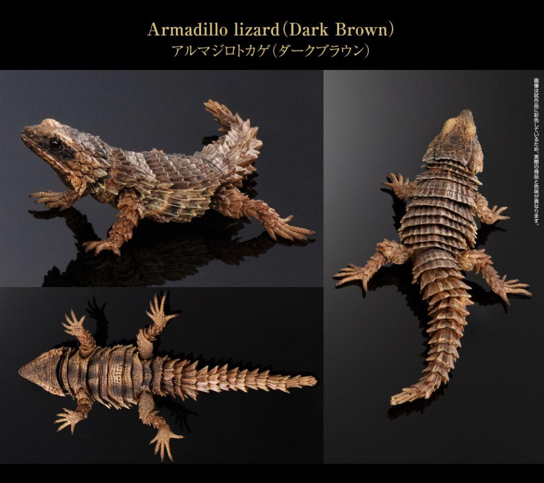 いきもの大図鑑アドバンス　アルマジロトカゲ　全４種フルコンプ　個包装　新品未開封