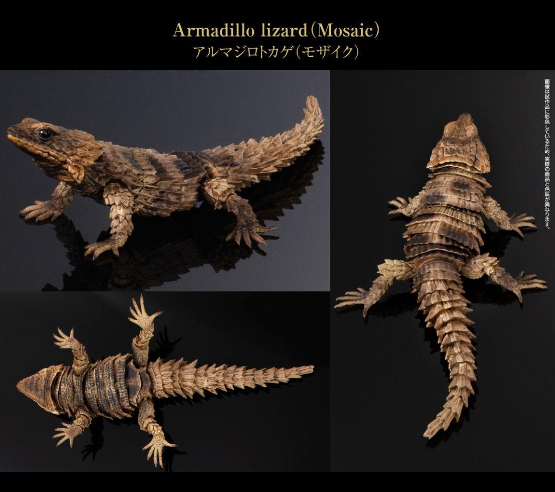 いきもの大図鑑アドバンス　アルマジロトカゲ　全４種フルコンプ　個包装　新品未開封