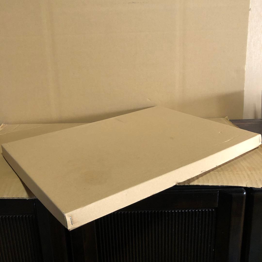 RIOT MUSIC 限定複製原画 シリアルナンバー&複製サイン入り