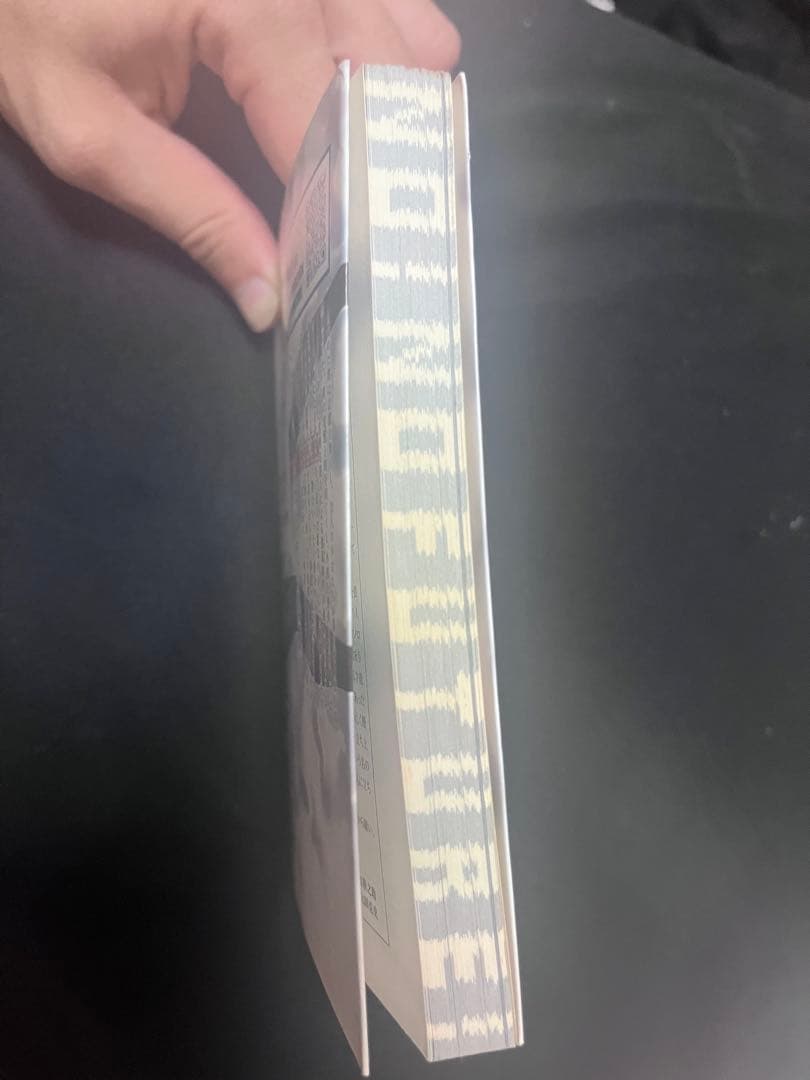 海猫沢めろん『左巻キ式ラストリゾート』