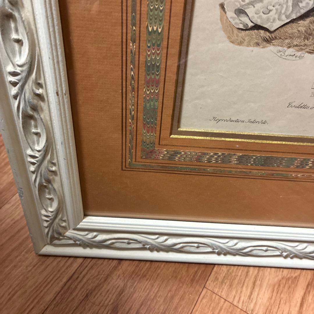 フランスアンティーク貴婦人版画　マーブル額装　最大サイズ