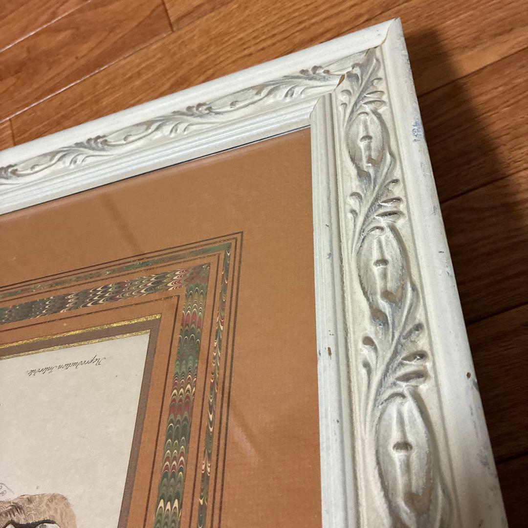 フランスアンティーク貴婦人版画　マーブル額装　最大サイズ