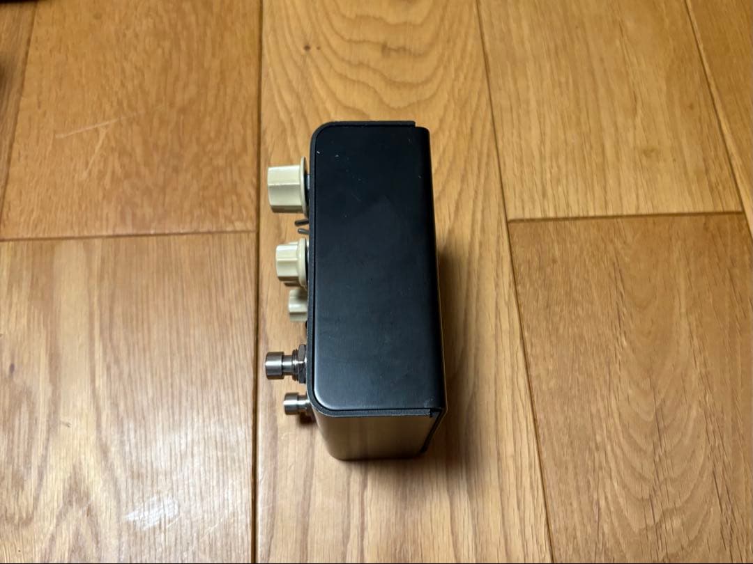 ギター Strymon FLINT V1