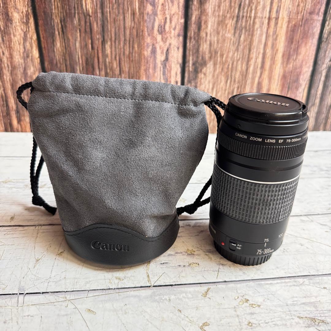 CANON ZOOM LENS EF 75-300mm 1:4-5.6 Ⅲ