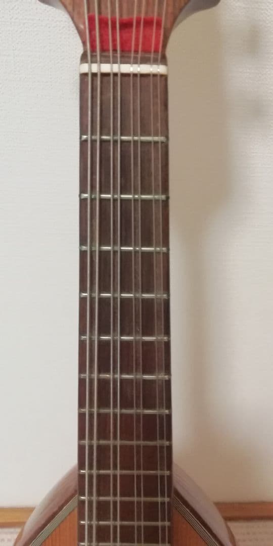 Calaceカラーチェ Mandolinマンドリン【No.24】